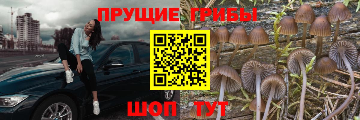 Галлюциногенные грибы прущие грибы  Псилоцибиновые грибы мухоморы  Вход с VPN  Луга 